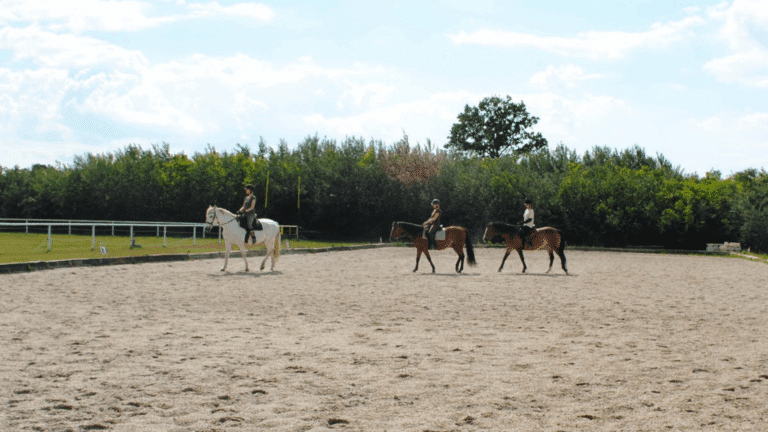 Außenreitplatz in Andau