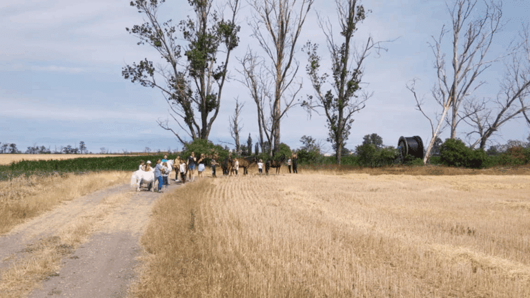 Pony Trekking am Göghhof
