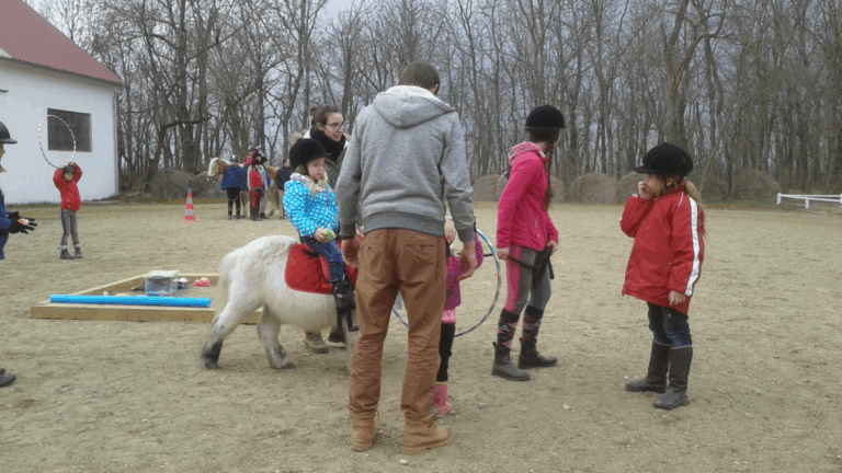 Ponyschule im Herbst