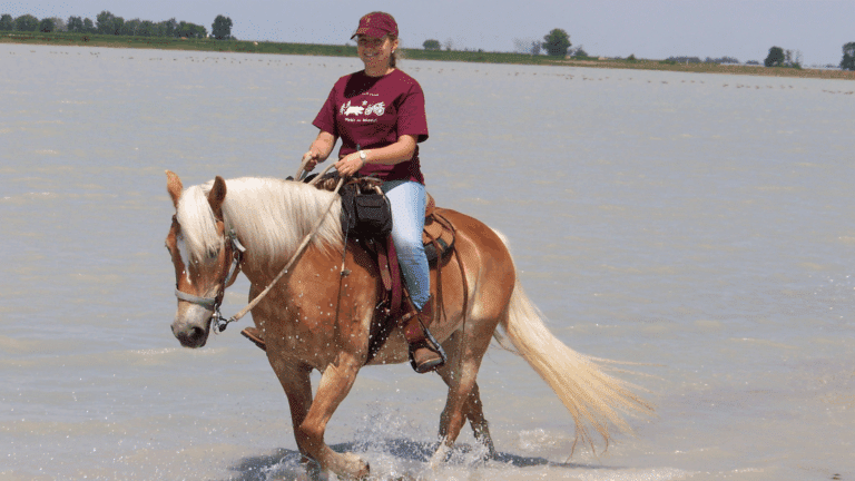 Reiten durch den Darscho