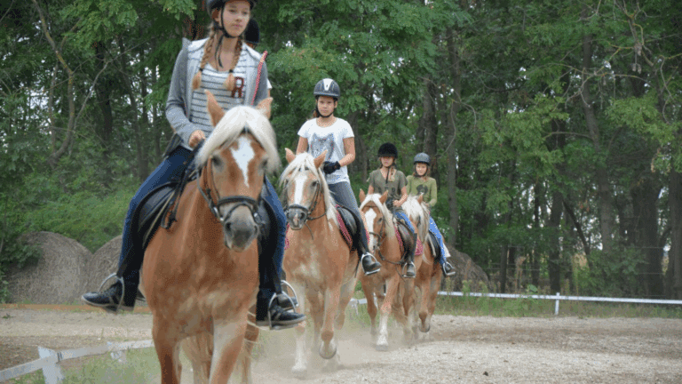 Reitunterricht am Göghhof