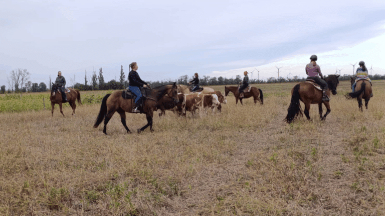 Rinderkurs am Göghhof