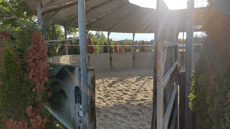 Round Pen in Andau