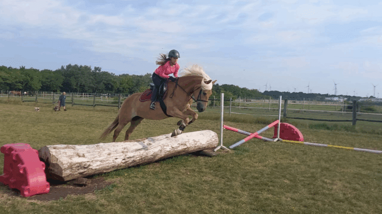 Springtraining am Wiesenplatz