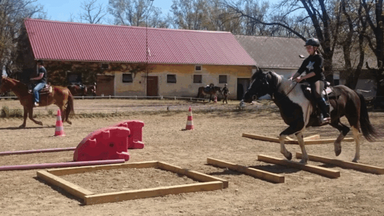 Stangengtraining am Göghhof