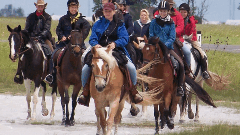 Tagesritt zum Dascho