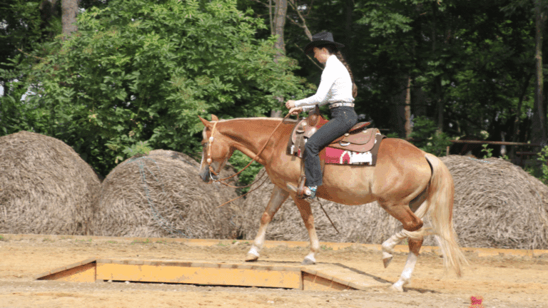 Westernturnier Trail