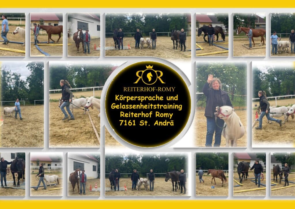 Körpersprache- & Gelassenheitstraining Gelassenheitstraining St. Andrae