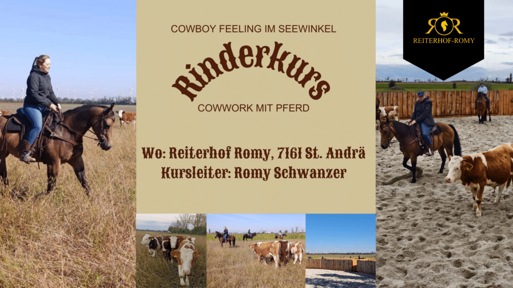 Rinderkurs Einsteiger