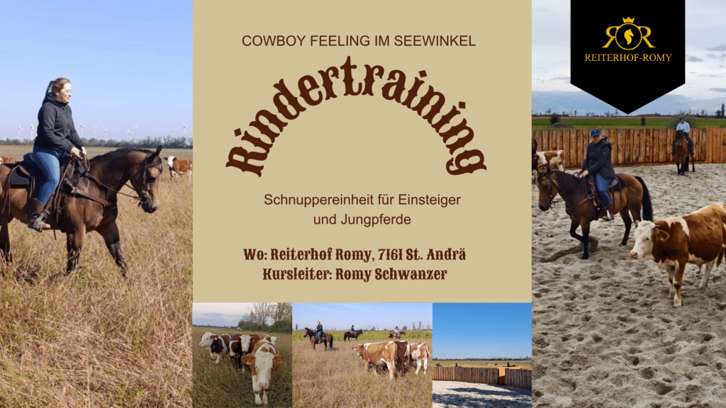 Rindertraining Schnuppereinheit